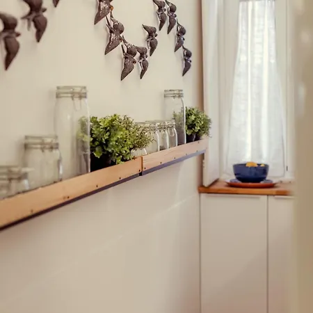 Skylight - Estrela *