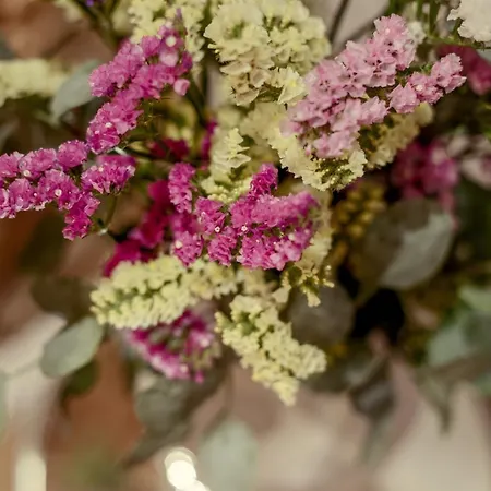 Skylight - Estrela Lisboa